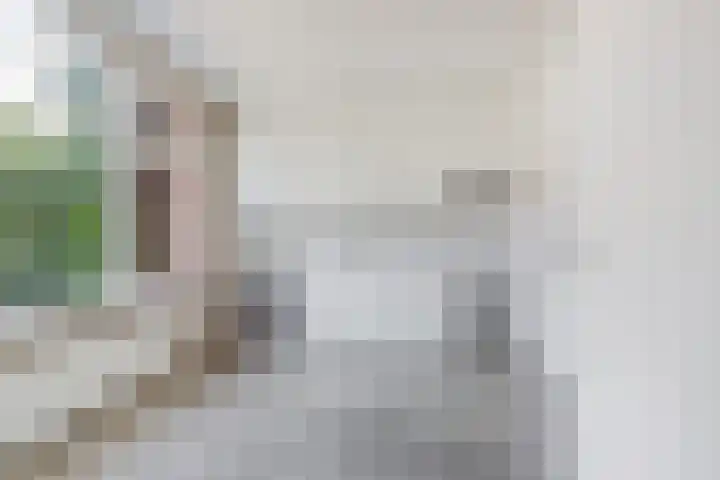 Heilige Stoel 5902 Wijchen thumbnail 7
