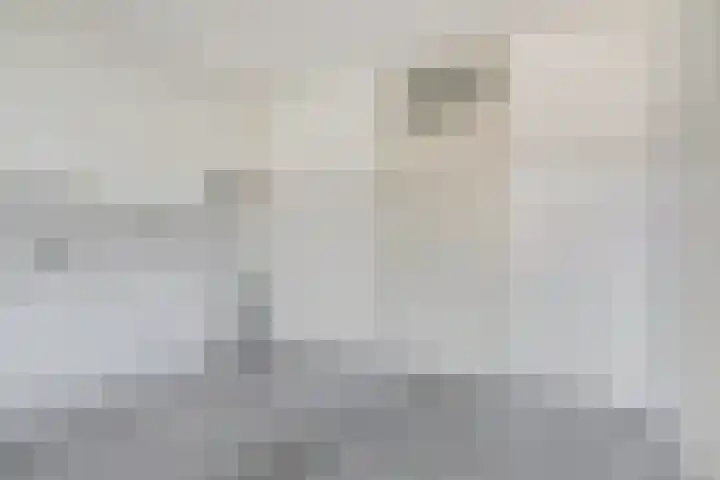 Heilige Stoel 5902 Wijchen thumbnail 8