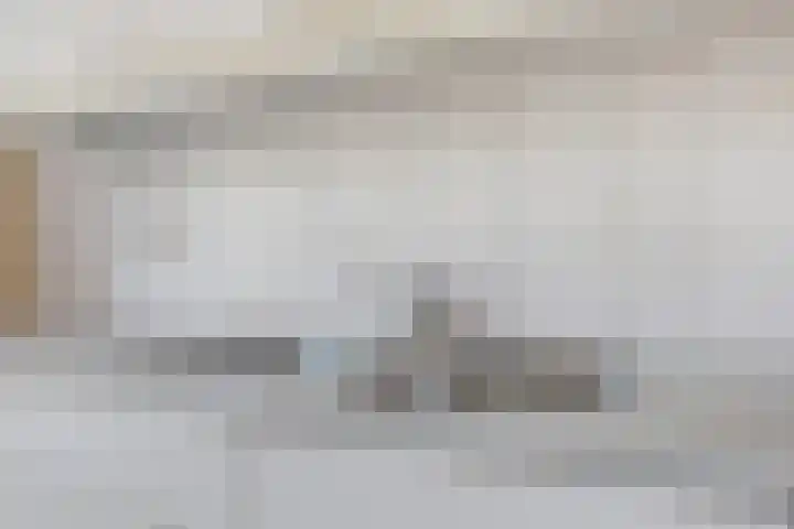 Heilige Stoel 5902 Wijchen thumbnail 9