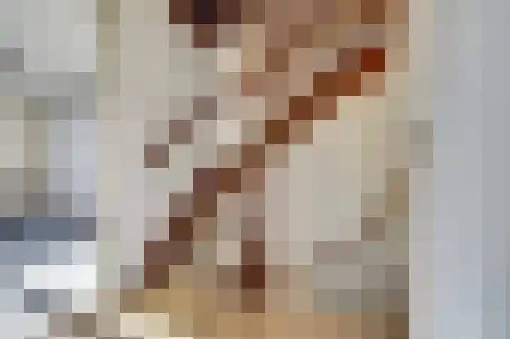 Heilige Stoel 5904 Wijchen thumbnail 12