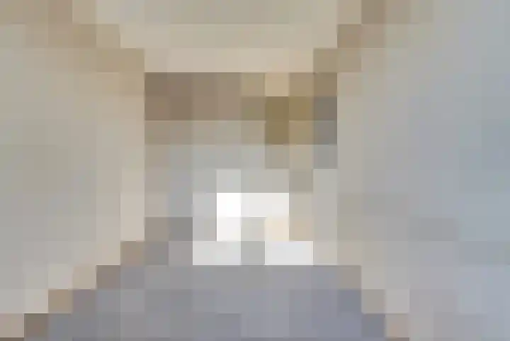 Heilige Stoel 5904 Wijchen thumbnail 18