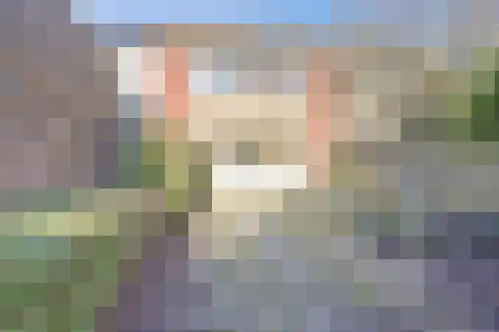 Heilige Stoel 5904 Wijchen thumbnail 26
