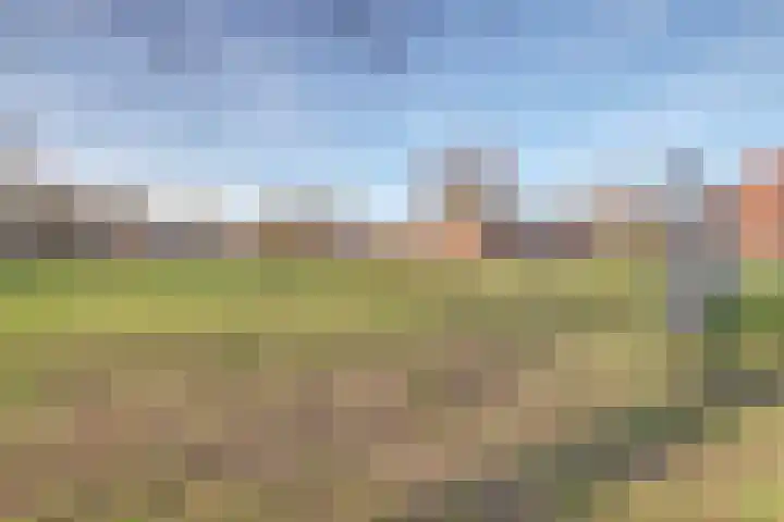 Heilige Stoel 5904 Wijchen thumbnail 41