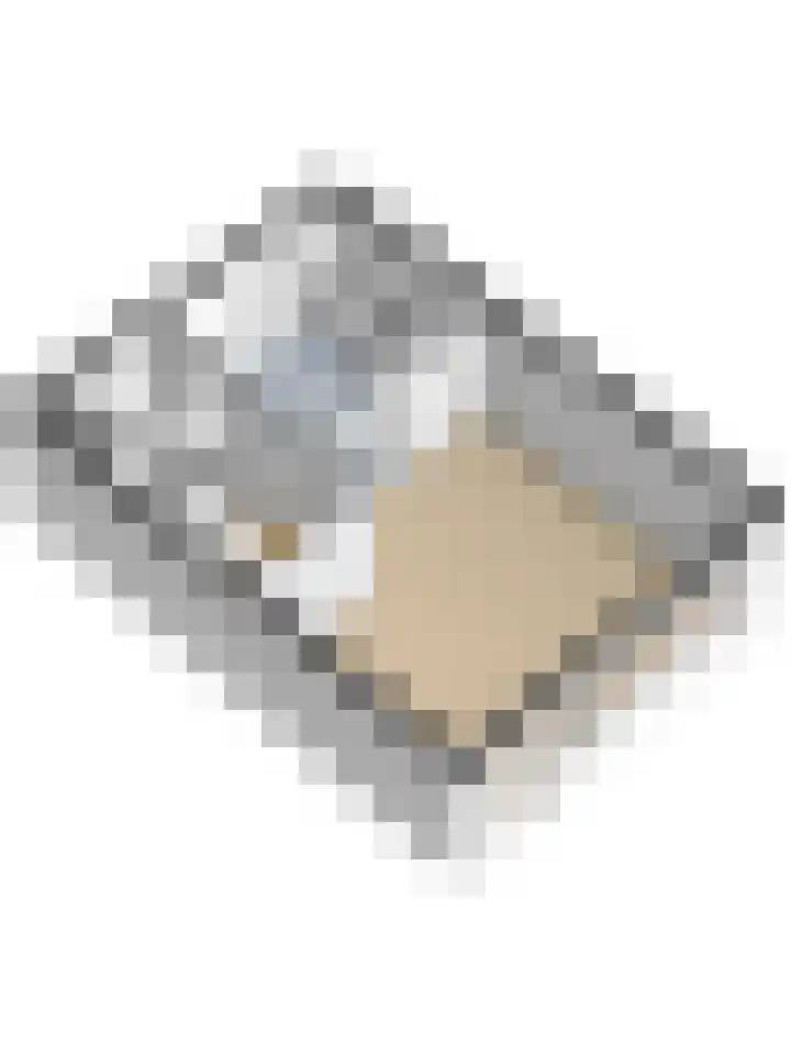 Heilige Stoel 5904 Wijchen thumbnail 43