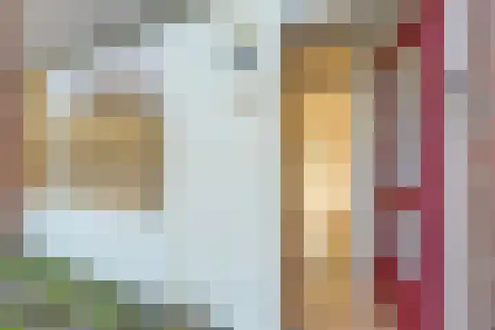 Heilige Stoel 5904 Wijchen thumbnail 9