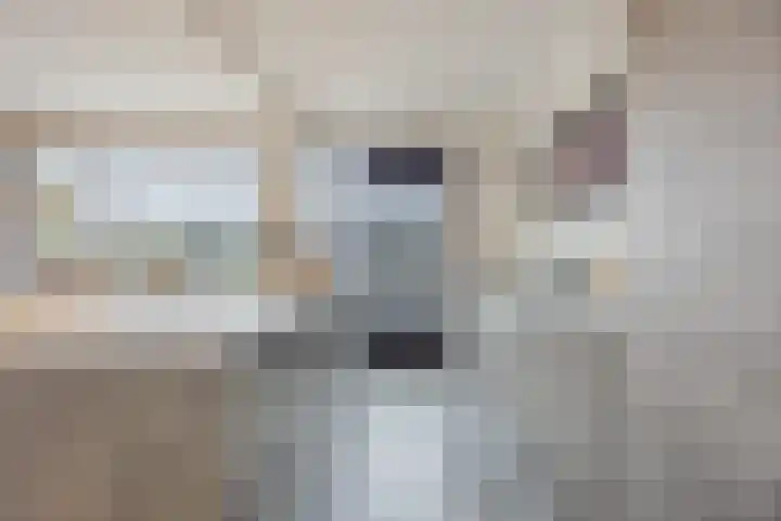 Heilige Stoel 5931 Wijchen thumbnail 16