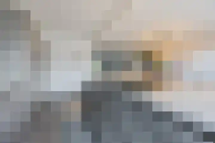 Heilige Stoel 5931 Wijchen thumbnail 17