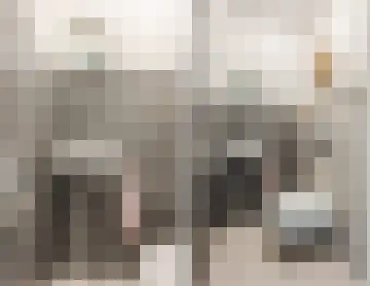 Heilige Stoel 5931 Wijchen thumbnail 23