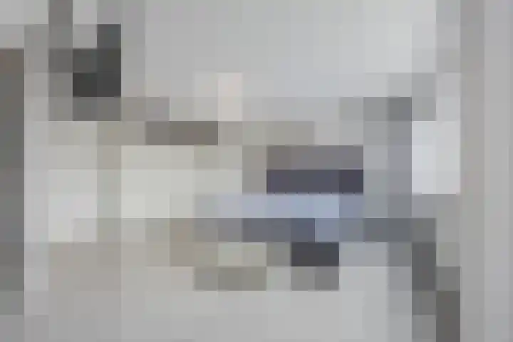 Heilige Stoel 5931 Wijchen thumbnail 25