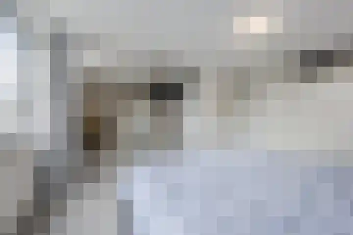 Heilige Stoel 5931 Wijchen thumbnail 26