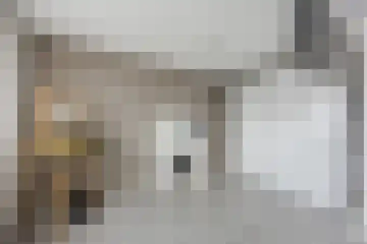 Heilige Stoel 5931 Wijchen thumbnail 27