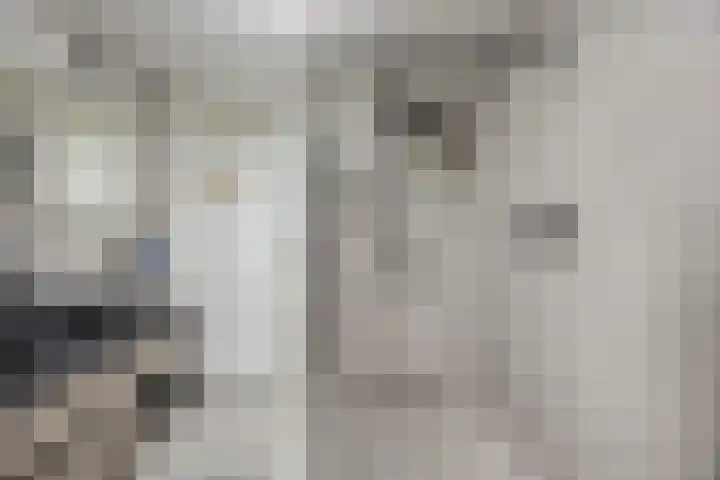 Heilige Stoel 5931 Wijchen thumbnail 32