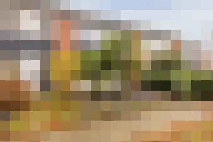 Heilige Stoel 5931 Wijchen thumbnail 4