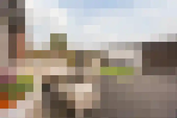 Heilige Stoel 5931 Wijchen thumbnail 43