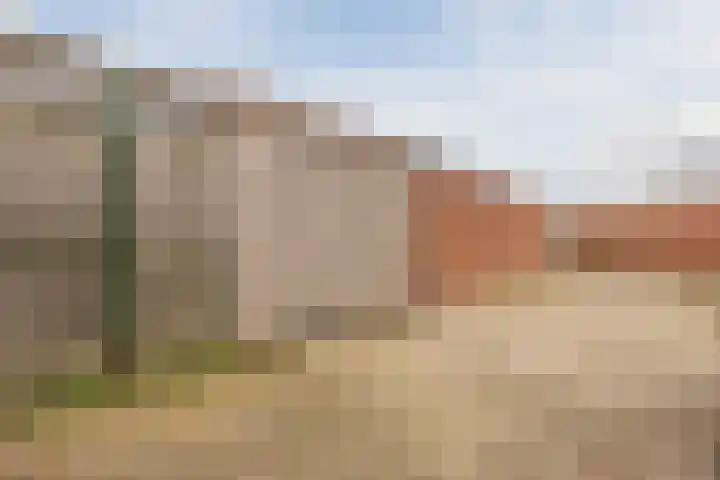 Heilige Stoel 5931 Wijchen thumbnail 49