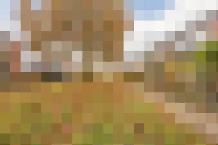 Heilige Stoel 5931 Wijchen thumbnail 5