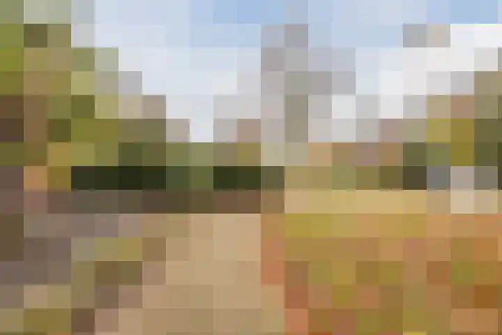 Heilige Stoel 5931 Wijchen thumbnail 6