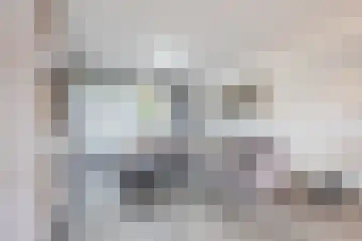 Heilige Stoel 5931 Wijchen thumbnail 9