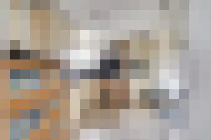 Heilige Stoel 6544 Wijchen thumbnail 11