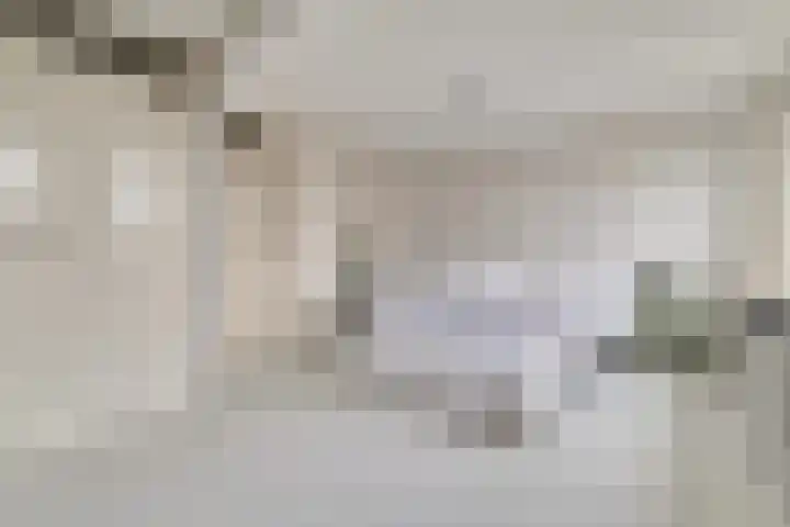 Heilige Stoel 6544 Wijchen thumbnail 18