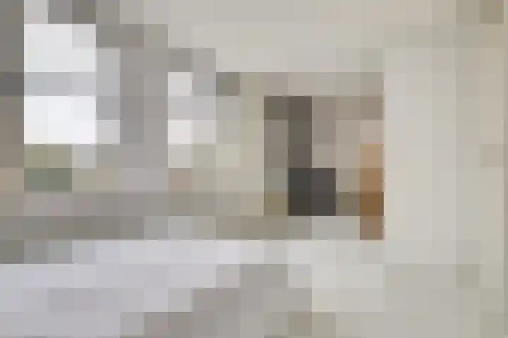 Heilige Stoel 6544 Wijchen thumbnail 20