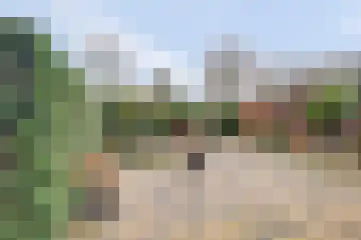 Heilige Stoel 6544 Wijchen thumbnail 30