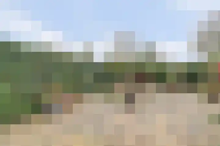 Heilige Stoel 6544 Wijchen thumbnail 31