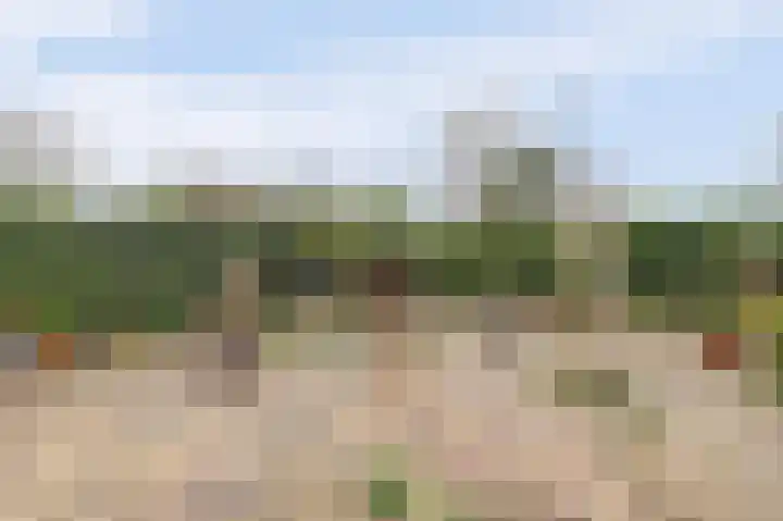 Heilige Stoel 6544 Wijchen thumbnail 32
