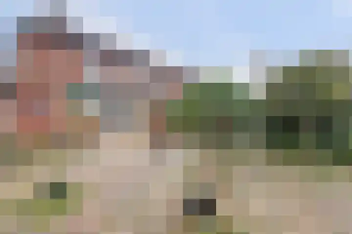 Heilige Stoel 6544 Wijchen thumbnail 33