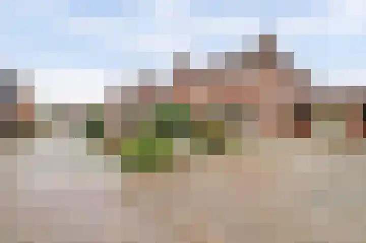 Heilige Stoel 6544 Wijchen thumbnail 36