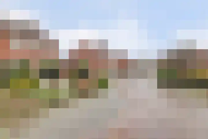Heilige Stoel 6544 Wijchen thumbnail 37