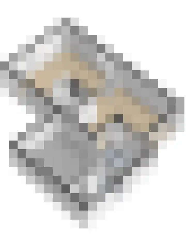 Heilige Stoel 6544 Wijchen thumbnail 40