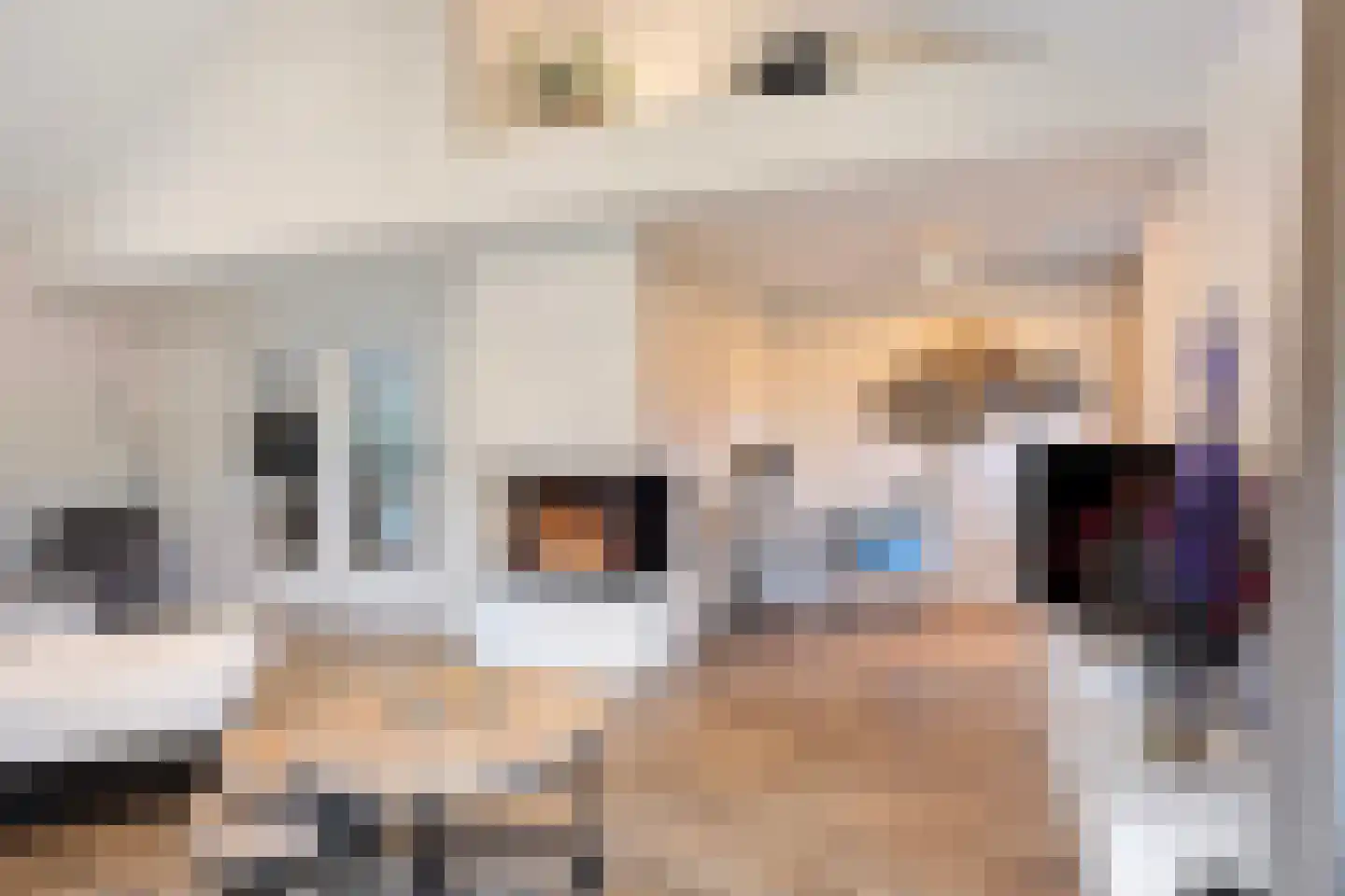 Heilige Stoel 6705 Wijchen thumbnail 16