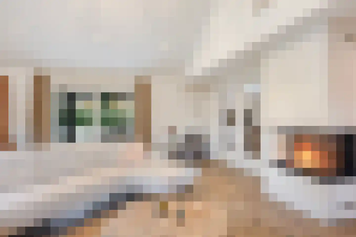 Heilige Stoel 6705 Wijchen thumbnail 18