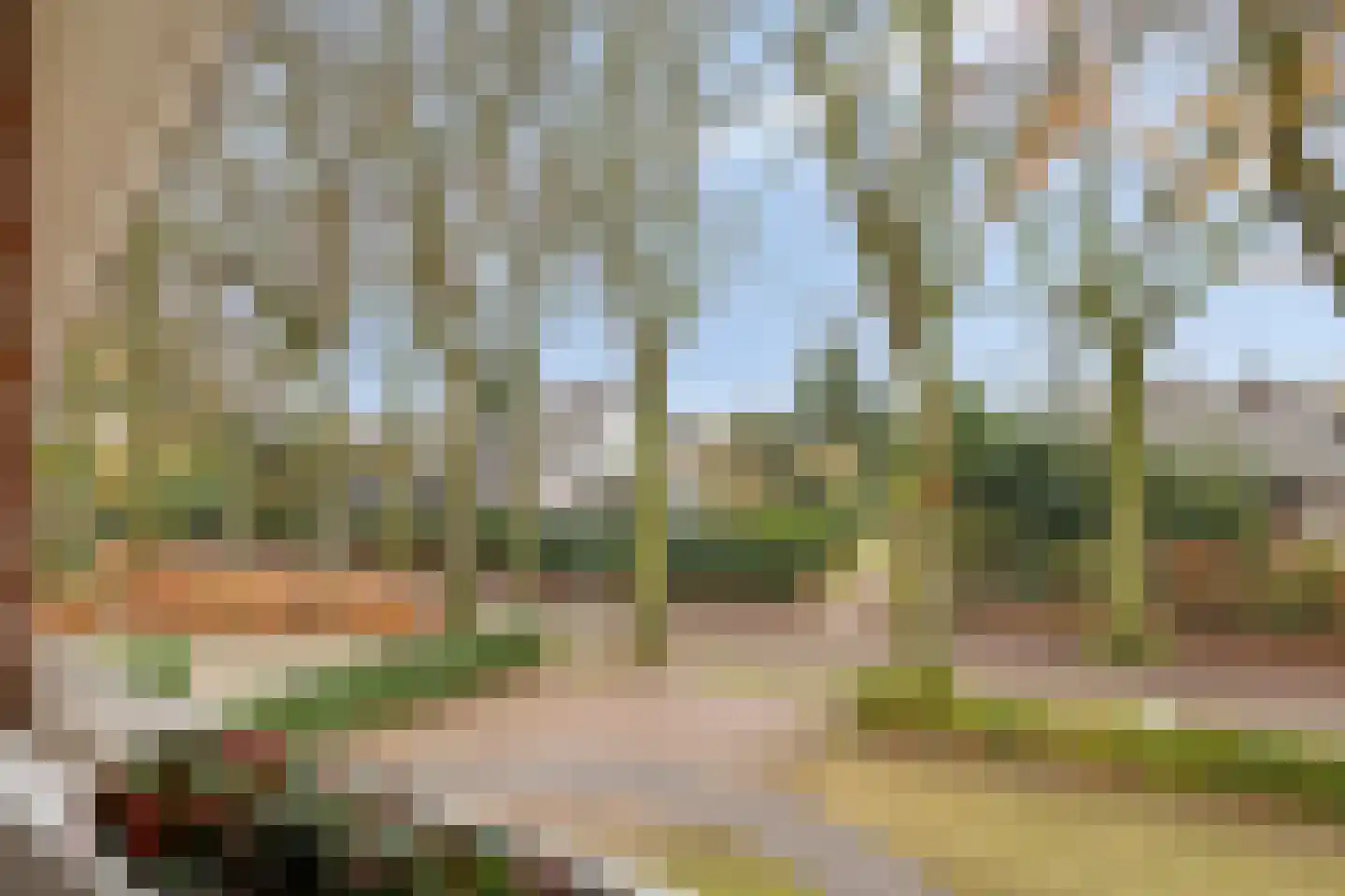 Heilige Stoel 6705 Wijchen thumbnail 30