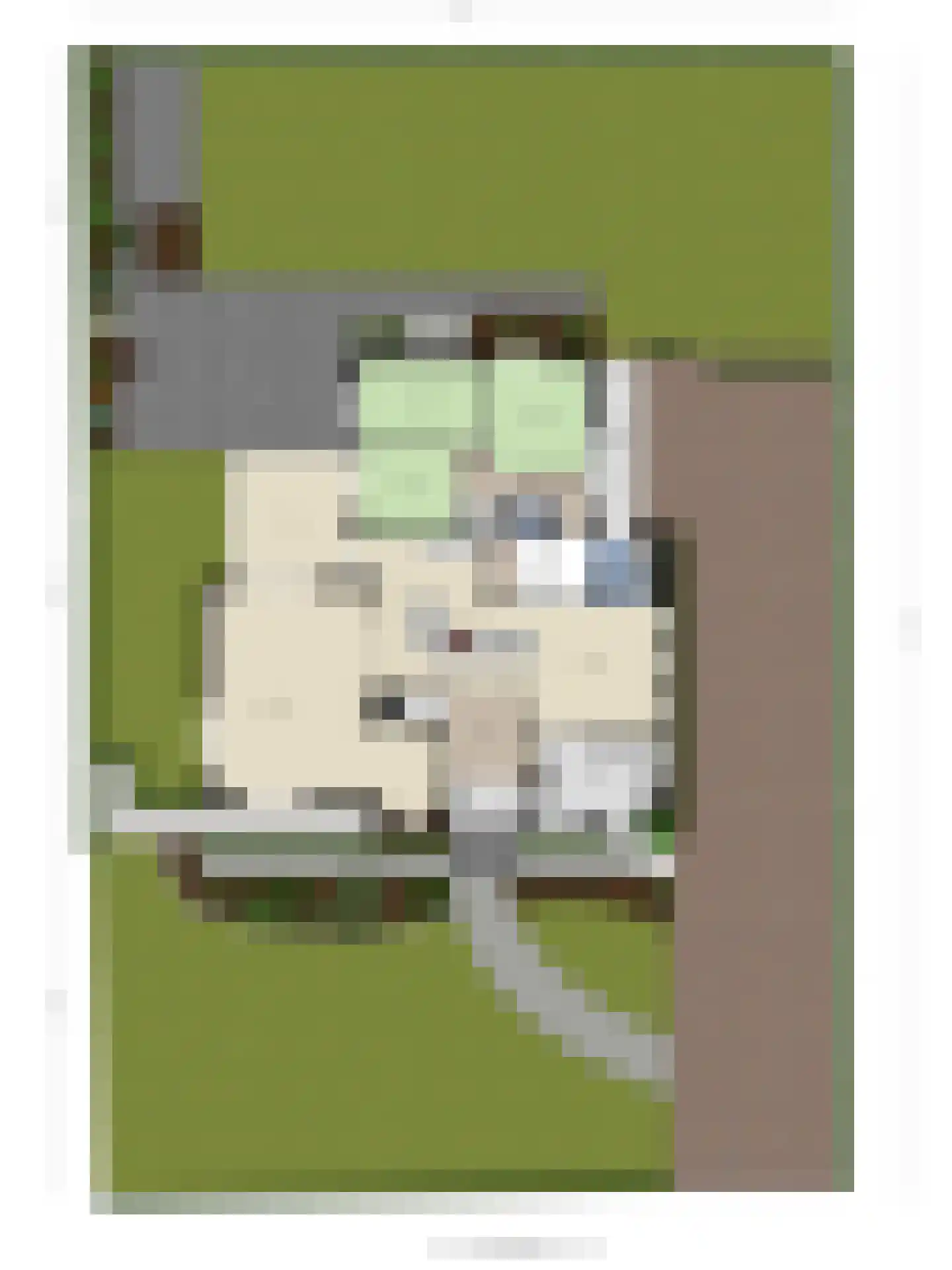 Heilige Stoel 6705 Wijchen thumbnail 70