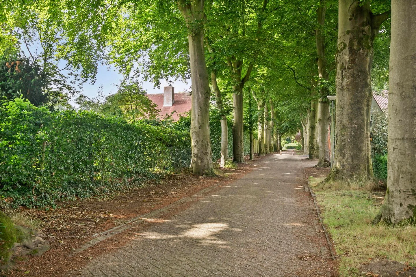 Heilige Stoel 6705 Wijchen thumbnail 72