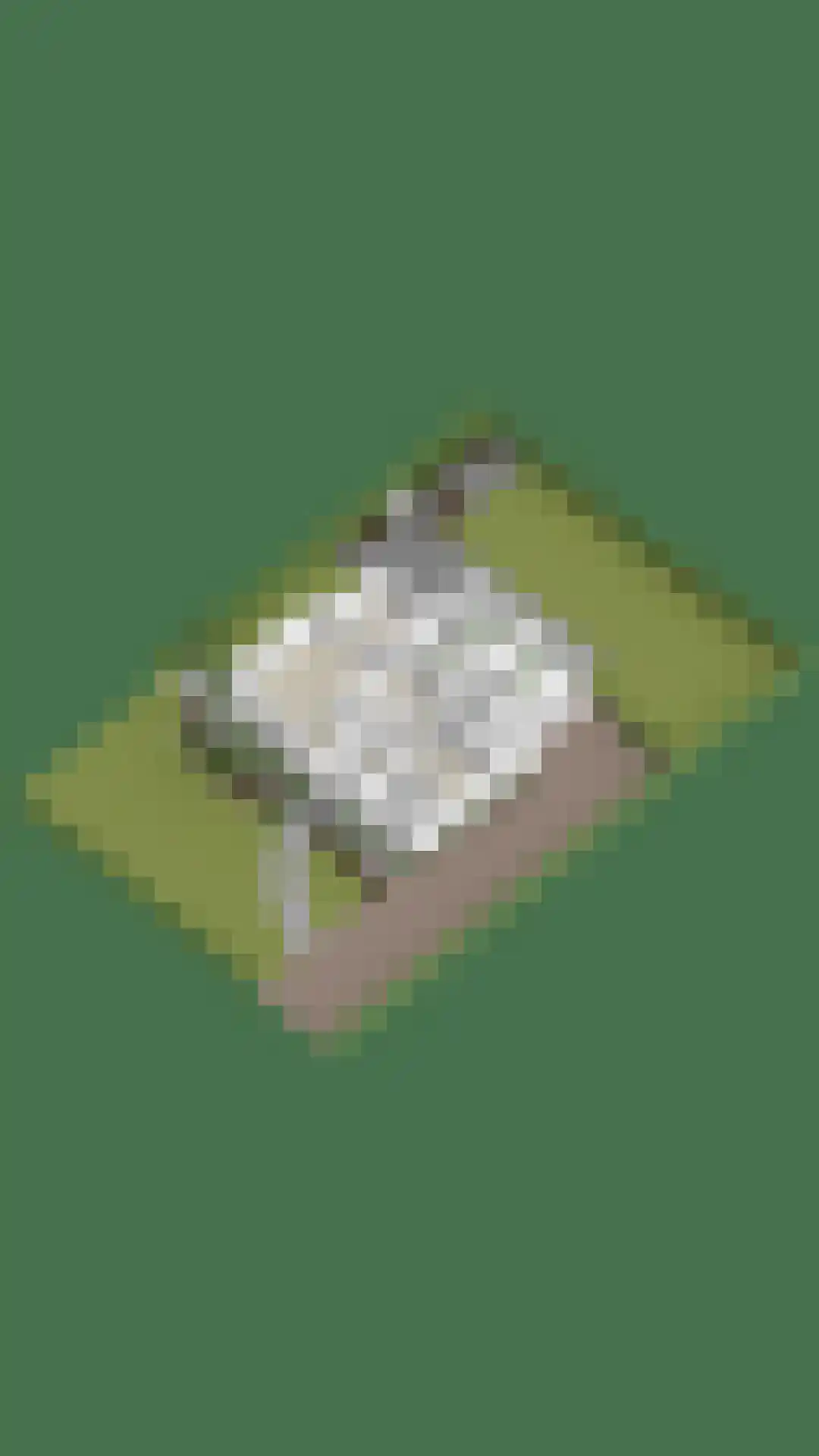 Heilige Stoel 6705 Wijchen thumbnail 74
