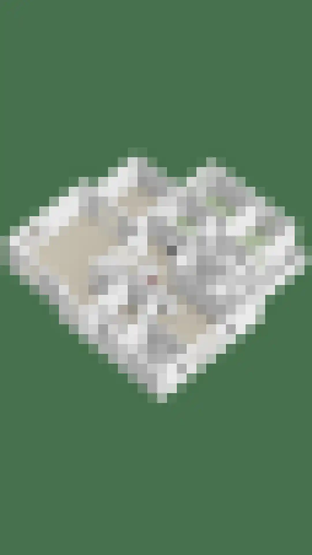 Heilige Stoel 6705 Wijchen thumbnail 75