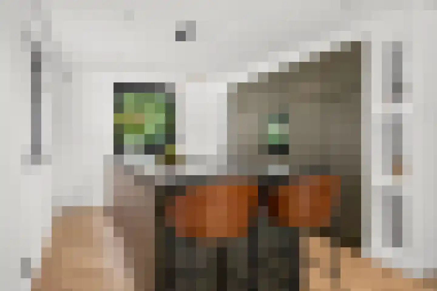 Heilige Stoel 6806 Wijchen thumbnail 12