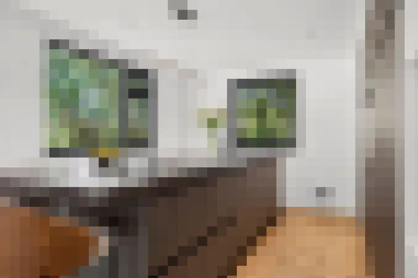 Heilige Stoel 6806 Wijchen thumbnail 13