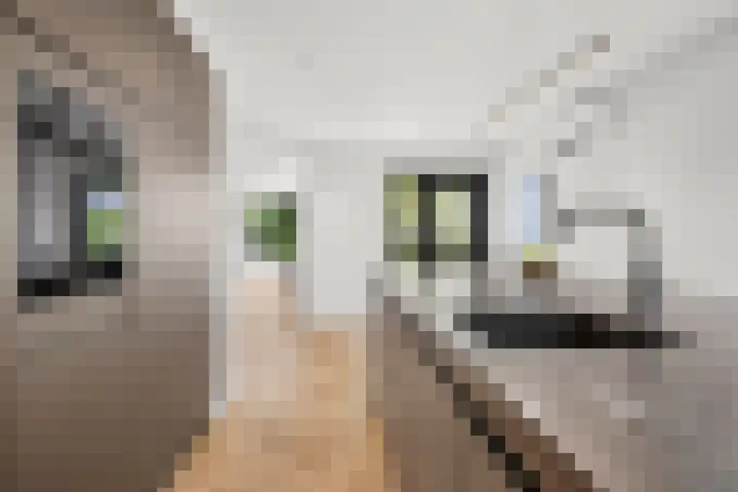 Heilige Stoel 6806 Wijchen thumbnail 14