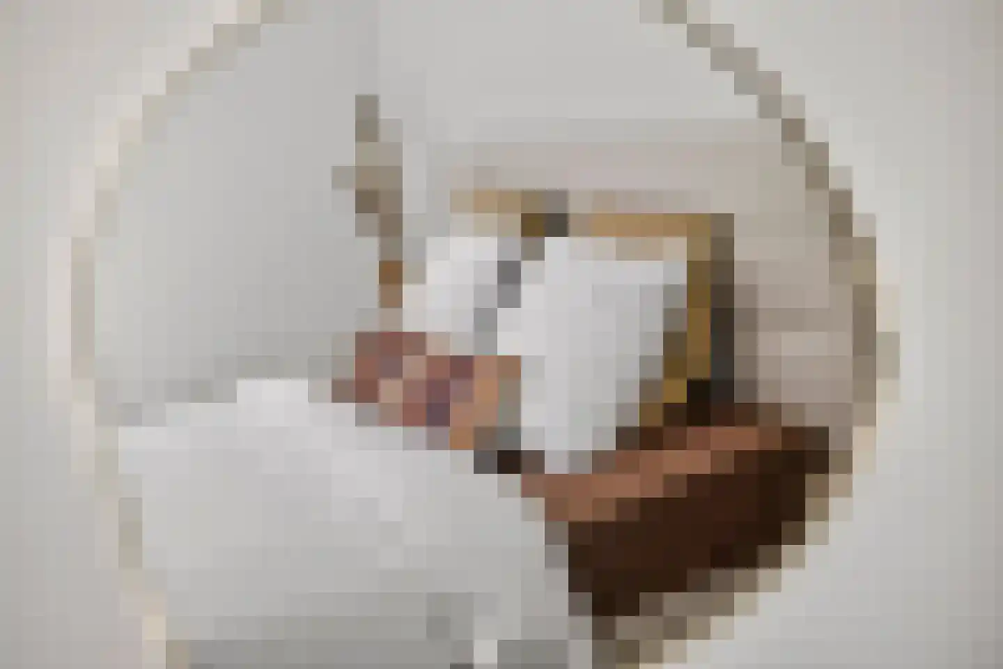 Heilige Stoel 6806 Wijchen thumbnail 16