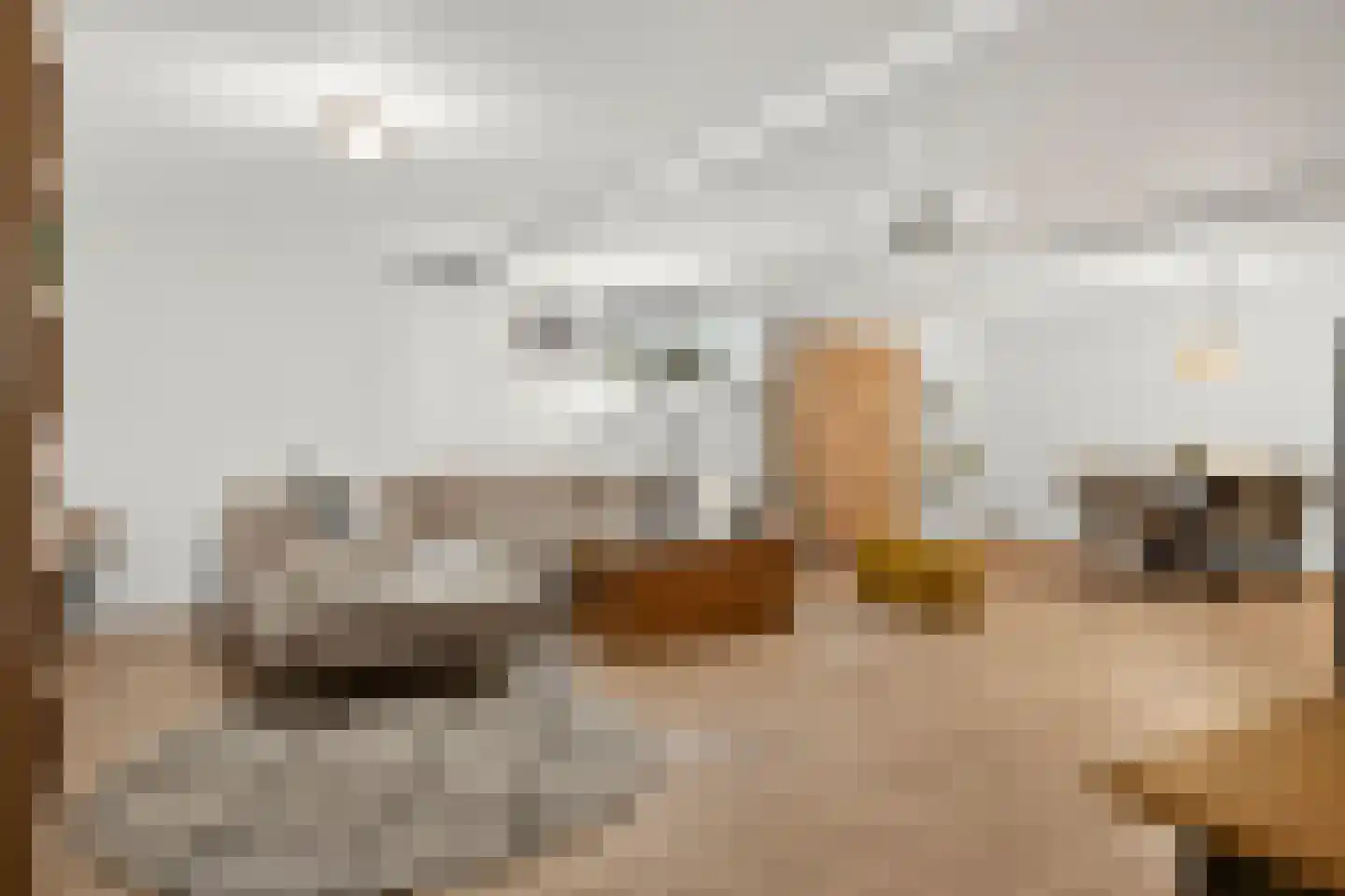 Heilige Stoel 6806 Wijchen thumbnail 24