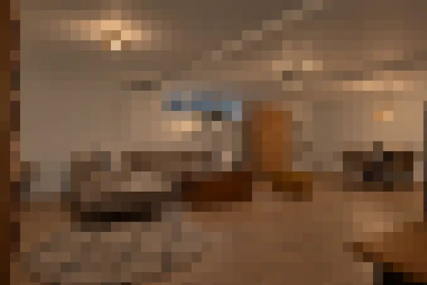 Heilige Stoel 6806 Wijchen thumbnail 24