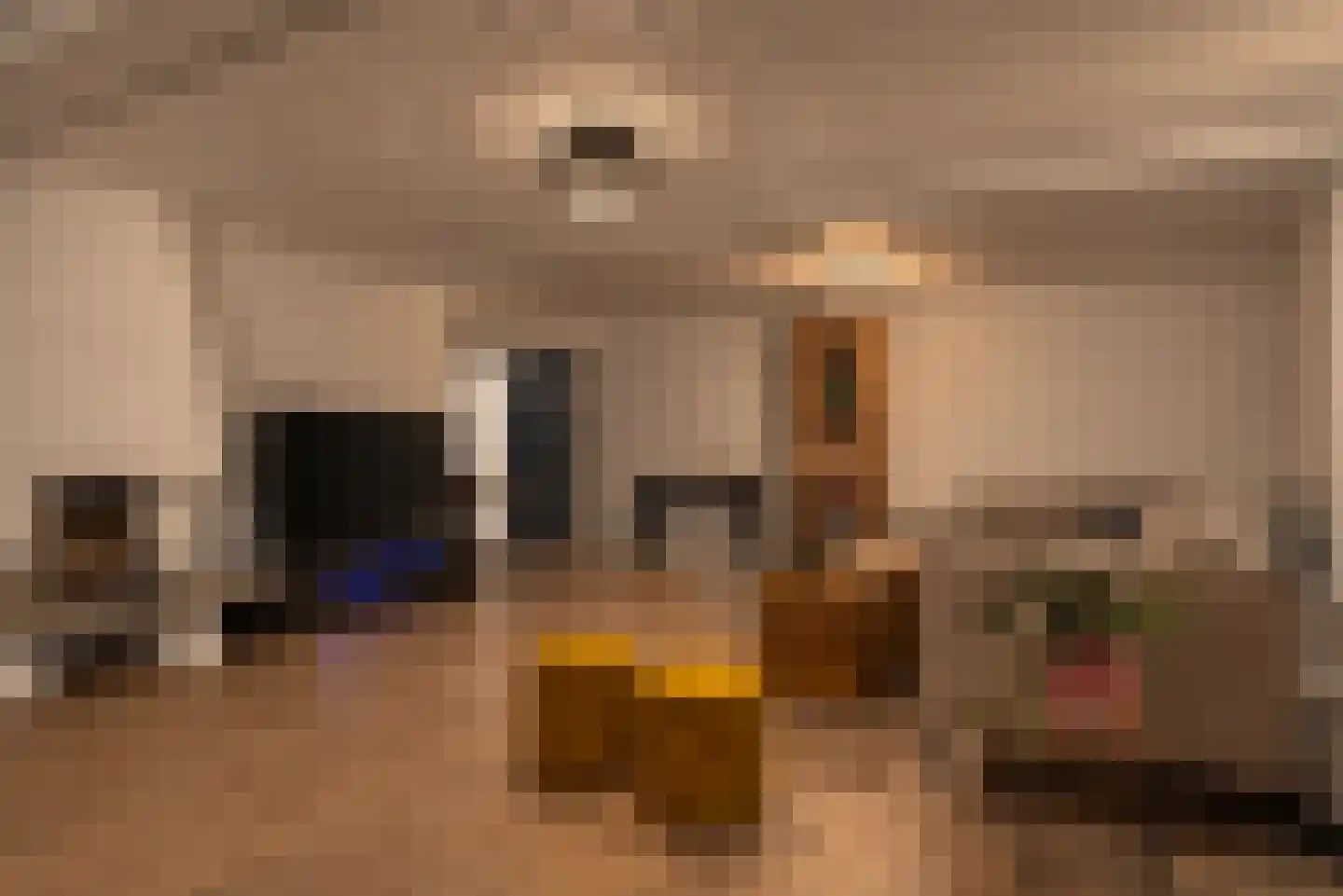 Heilige Stoel 6806 Wijchen thumbnail 25
