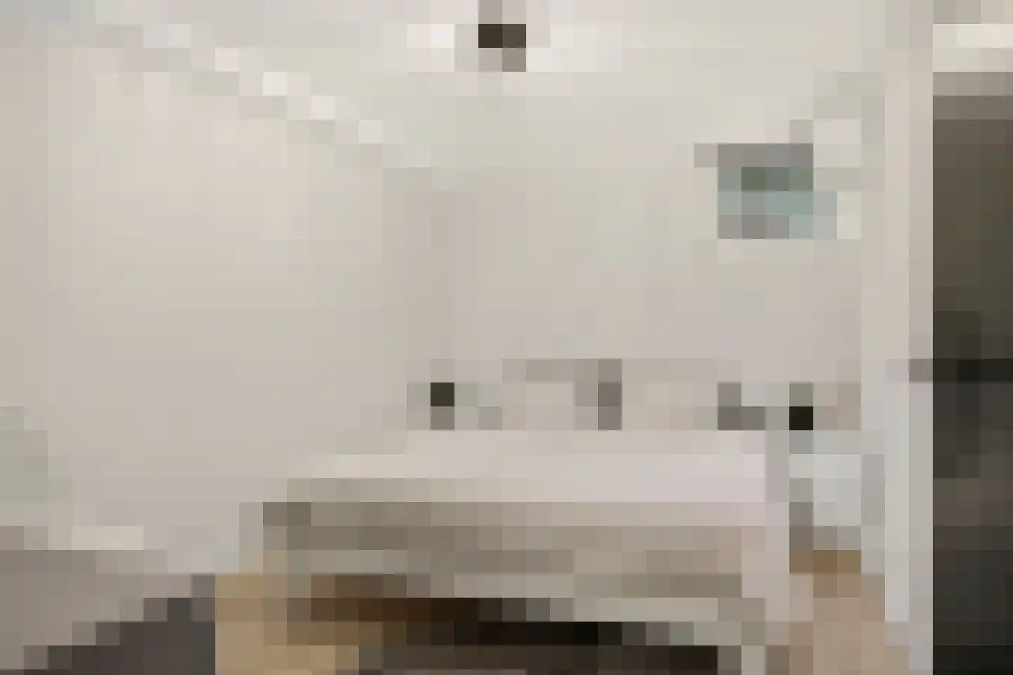 Heilige Stoel 6806 Wijchen thumbnail 28