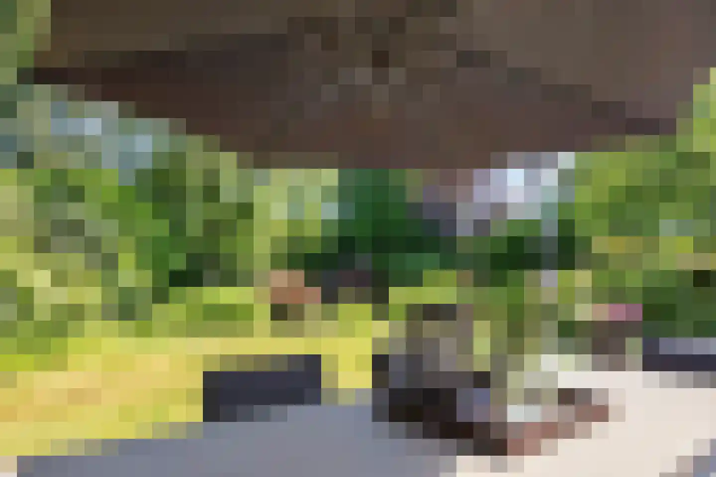 Heilige Stoel 6806 Wijchen thumbnail 36