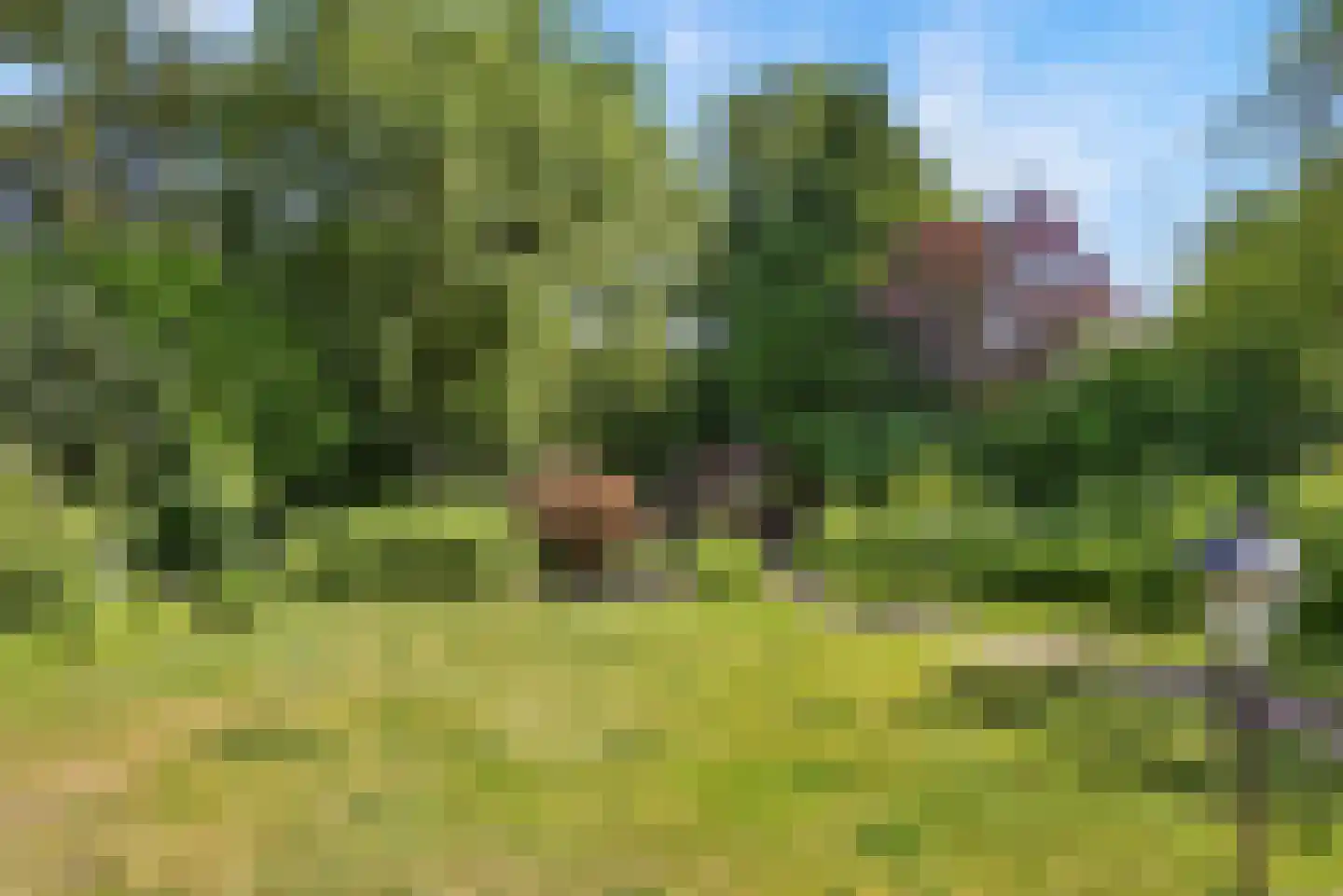 Heilige Stoel 6806 Wijchen thumbnail 37