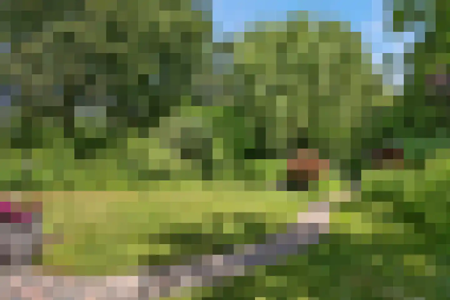 Heilige Stoel 6806 Wijchen thumbnail 38
